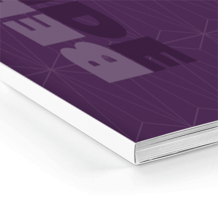Samenvatting Softcover 170 x 240