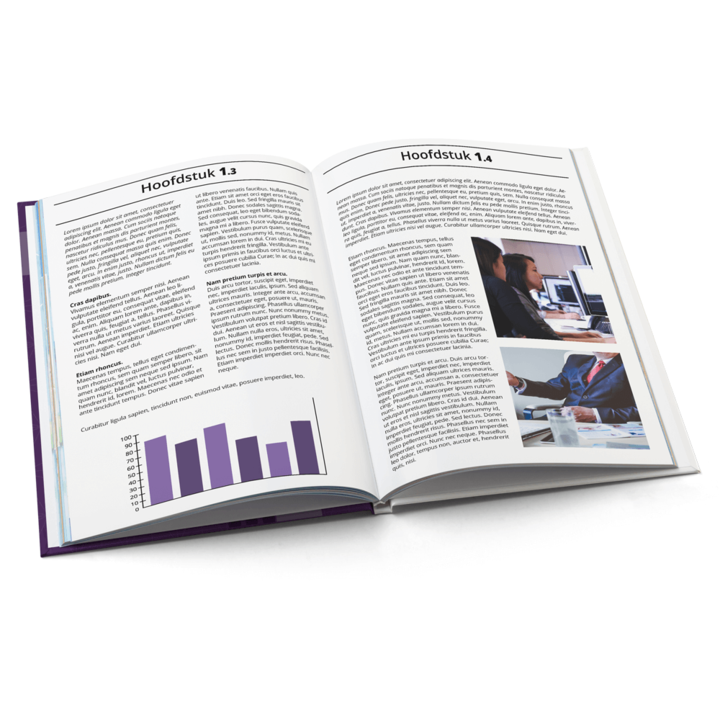 samenvatting drukken /samenvatting-drukken