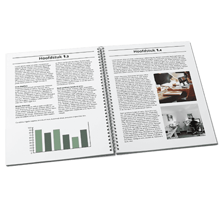 verslag  /verslag-printen